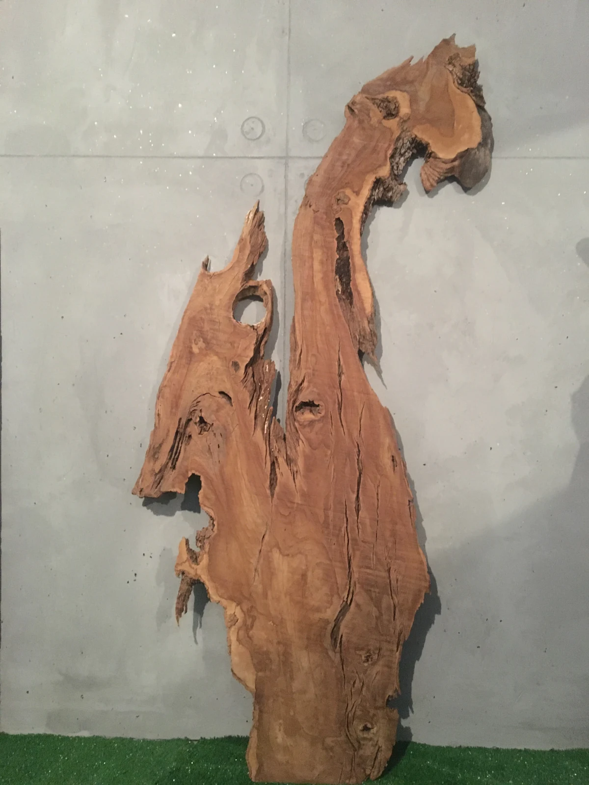 Radice di ulivo originale di DRAKO, con sagoma che evoca un drago