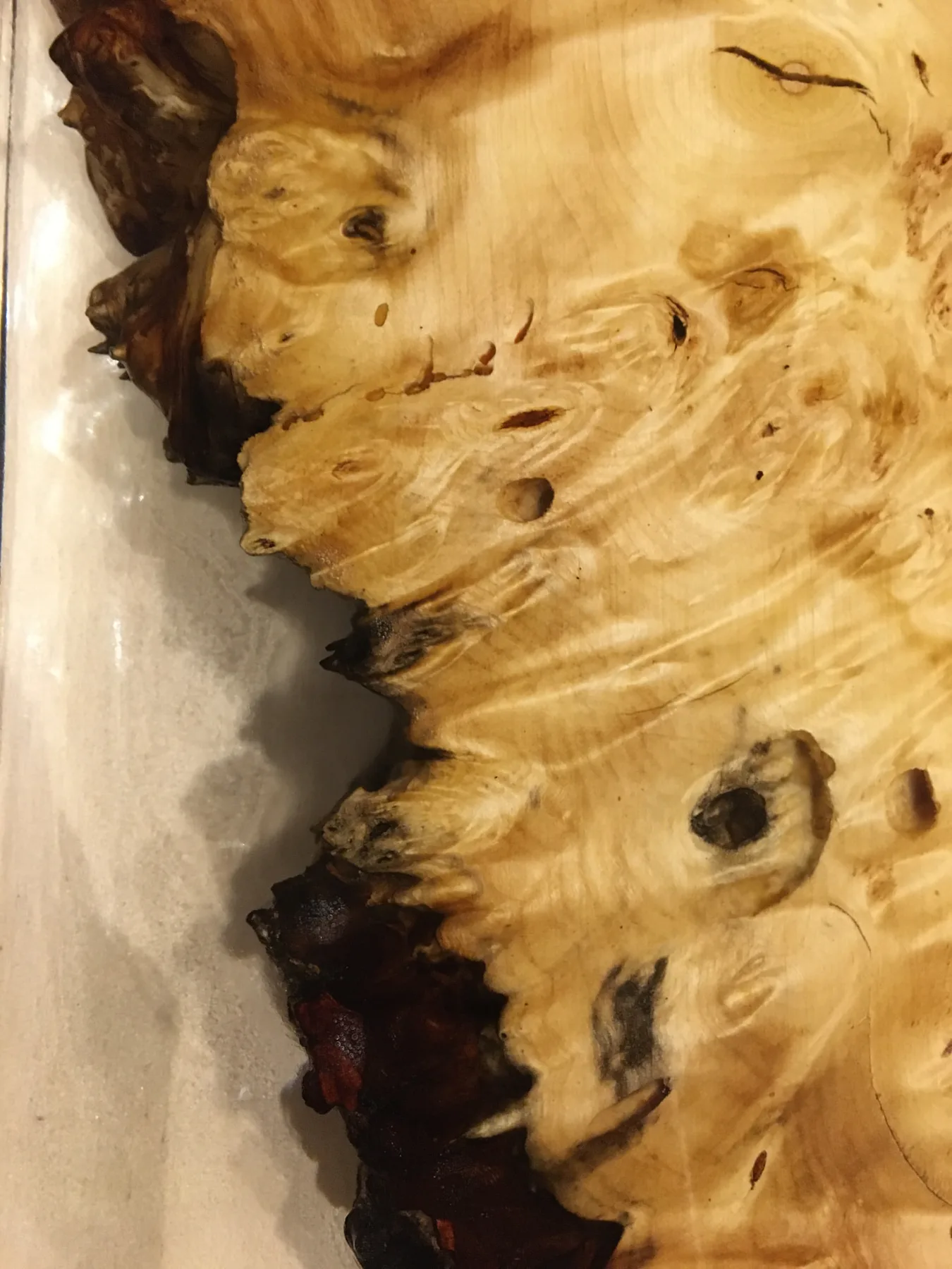 Venature e nodi del legno di ippocastano accanto alla resina, visti da vicino